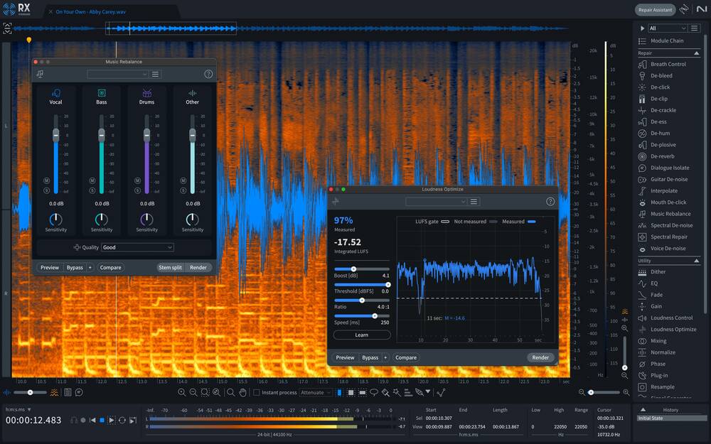 iZotope Izotope RX 11 Standard